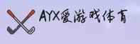 AYX爱游戏(中国)官网